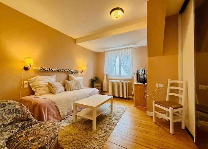 Villa Camelias, Appartements De Charme