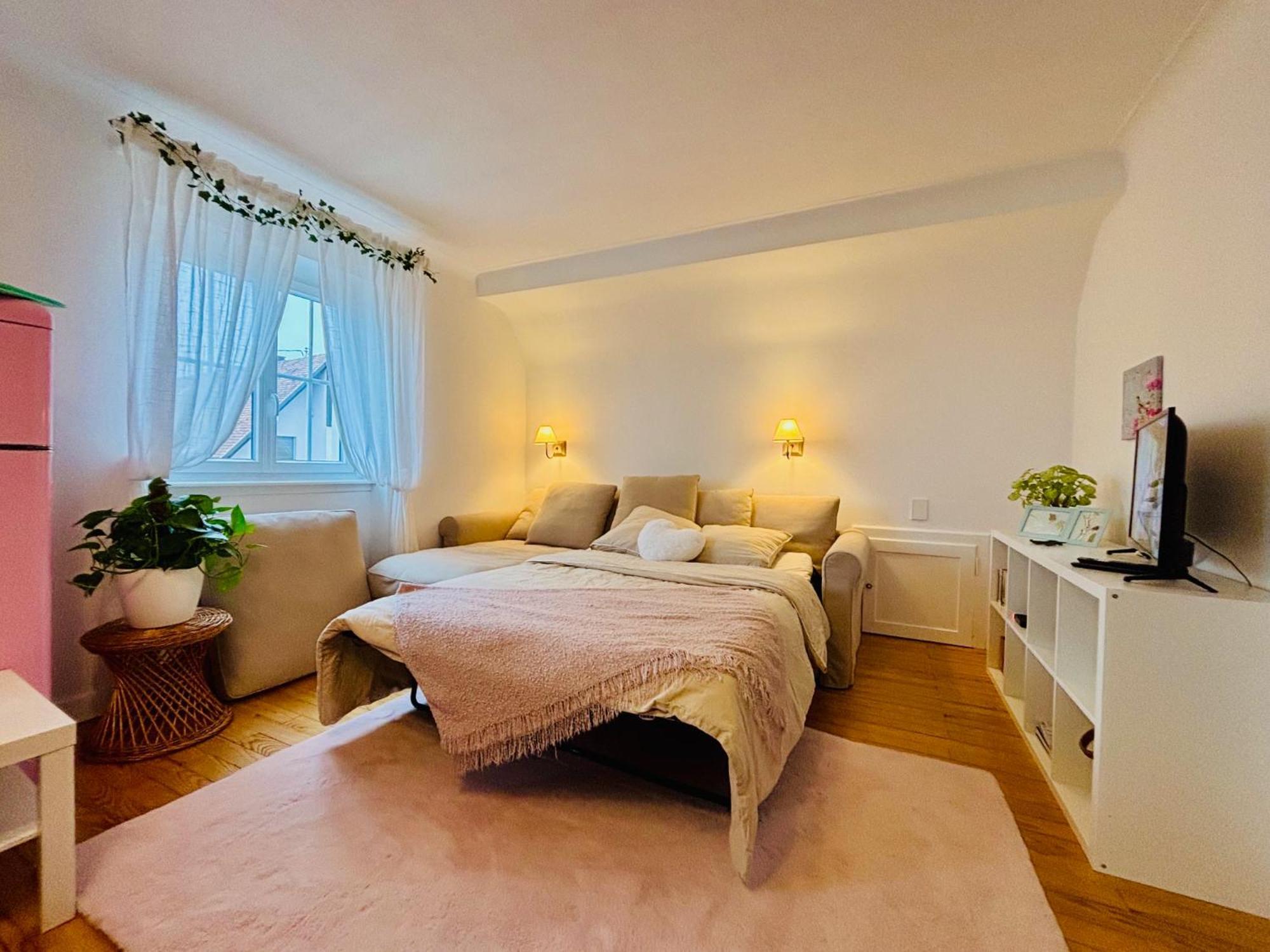 Apartment Camelias, De Charme *